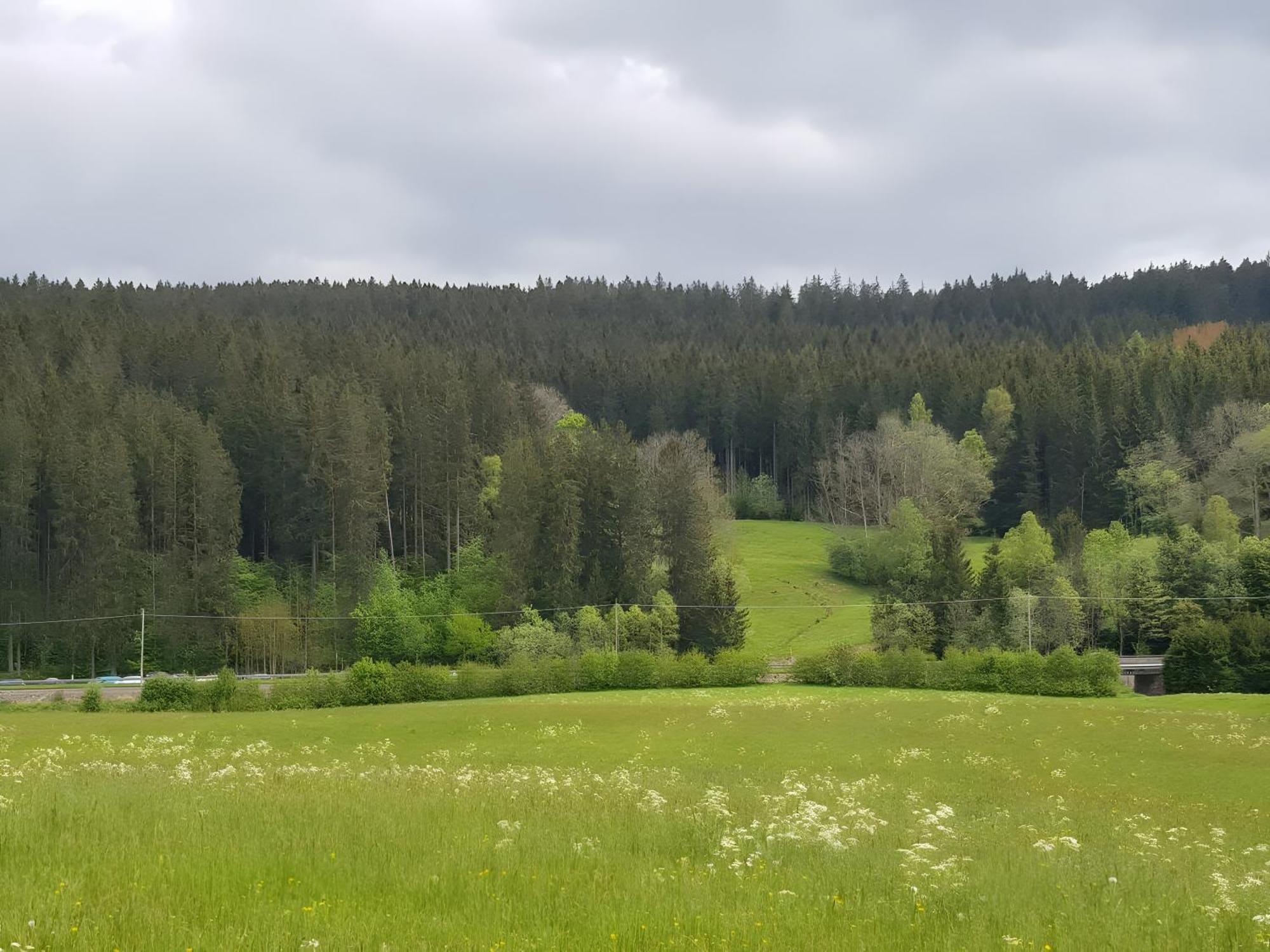 Ferienwohnung Haus Schwedes Titisee-Neustadt Exterior foto